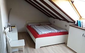 Casa Libra